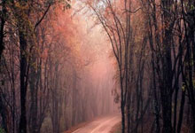 竞彩足球葡萄牙对阵法国,这场焦点战该怎么看?