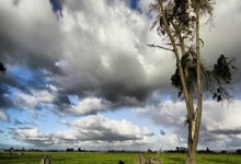 美职足排行榜是如何反映联赛竞争格局的?