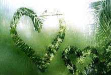 大巴黎对决巴萨,谁能在欧冠赛场笑到最后?